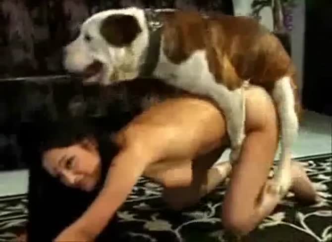 Порно Ебли Баб С Собаками