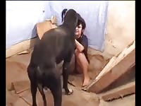 Tremendous chance for a dog to fuck a housewife