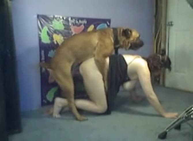 Wife Fucking Dog Porn - Wife fucked hard turn on sound - Dog Porn - Zoo Porn Dog, Zoo Porn Horse at  Katitube