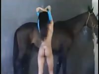 Sex porno horse