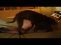 Powerful dog grips and fucks his cute owner