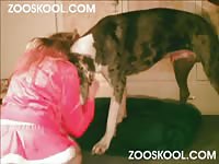 [ Zooskool - Dog Porn and Sex Animal ] - Dog Porn ] knotty christmas tail - Zoophilia Tube Sex