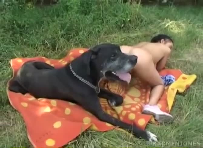 Bigdogsex - Riding big dog in the field - Zoo Porn Dog at Katitube