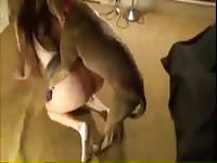 Shelly just a scratch