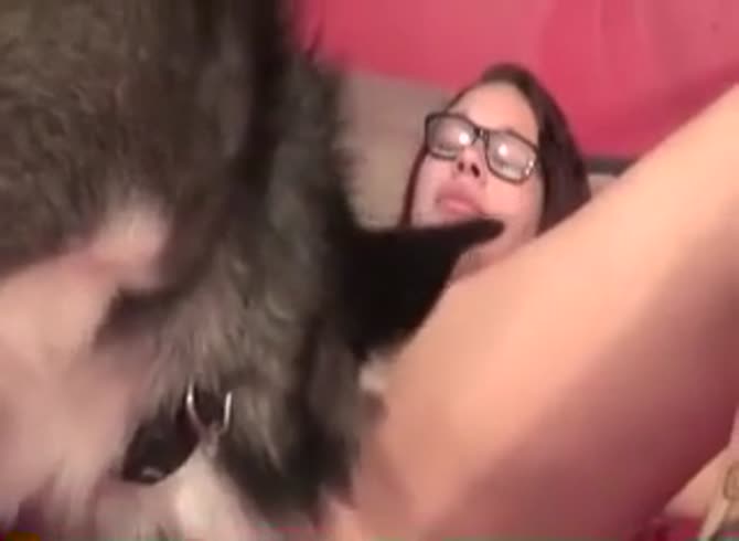 Fuck me dog Animal Porn