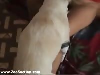 Teaching withe dog how to fuck me - animal sex