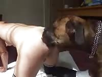 Dog and human couple having bestiality sex