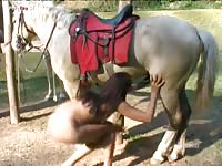 The chronicles of animals animal abuses arse