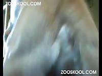 Lady a golden a 2 [ Art Of Zoo ] - Dog Porn
