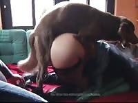 Search kinky Results on Katitube for: animal sex pornhub - Page 1