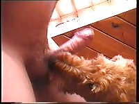 Female dog lick job