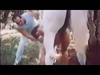 Former brazilian film where a crazy woman will get let his horse break into her pussy - Horse Porn
