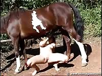Fuckedbyhorses com horse sex movie 15