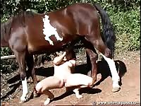 Fuckedbyhorses com zoosection 031 - Horse Porn