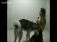 Good dog - Dog Porn