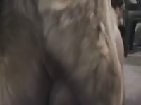 [ Caledonian NV - Animal Sex Amateur ] shawnie surprised