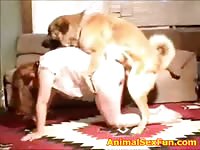 Caledonian NV - shawns dog gangbang - Dog Porn