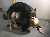 Canines 3 way action animals fucking humans petsex com Bestiality Sex Video