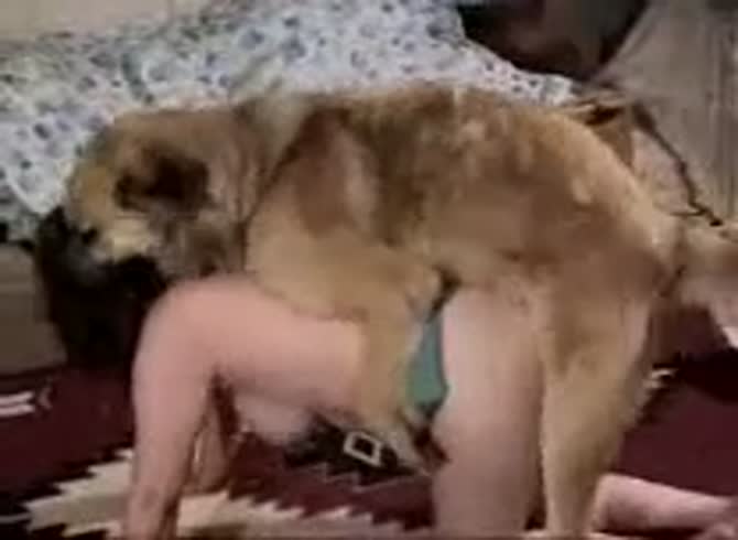 670px x 490px - Canines anal good animals fucking humans petsex com - Beastiality Sex Video  - Zoo Porn Dog at Katitube