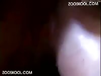[ Zooskool ] Dog eletric blomdes