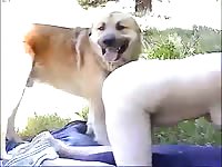 Dogs fucking amateur slut wife - Dog Porn