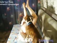 009 rusz russian bestiality 2018 zoo sex from moscow - Zoophilia Porn