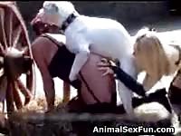 0903 4 amateur tube videos porn horse stories 1850