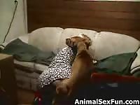 Amateur dogsex movie 23 clip 1