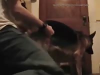 Hombre Cogiendose Perra Gay Beast Com - Zoo Xxx Porn Video