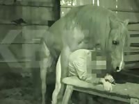 Horny Horse Fucks A Man Gaybeast Rip - Animal Porn Movie