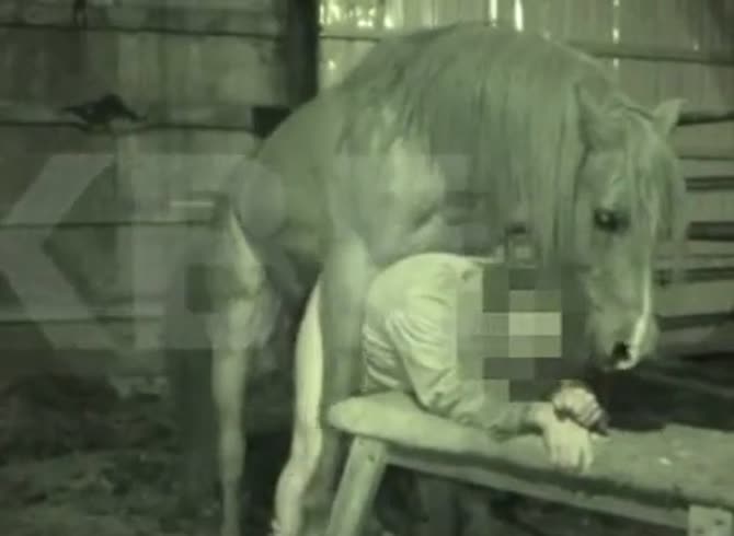 By man horse fucked A horse
