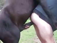 Horse Et Man Gaybeast.Com - Beastiality Sex Porn Movie