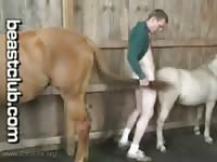 Horse Man Fucks Pony Horse