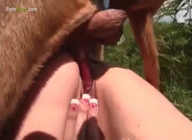 Dog Knot Porn - Huge Dog Knot In My Pussy - Teen, Zoo Porn Dog at Katitube
