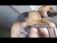 Innocent Blonde Fucks Your Dog For The First Time