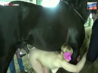 Intense Horse Fucking Blonde(1)