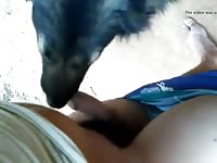 Jb Gaybeast - Beastiality Porn