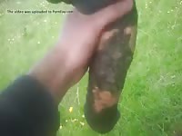 Je Branle Un Hongre Gaybeast - Animal Sex Video