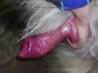 Jeg Runker Hunden Min Gaybeast Rip - Animal Sex Movie