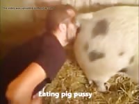 Love Pig Pussy Gaybeast.Com - Bestiality Sex Movie