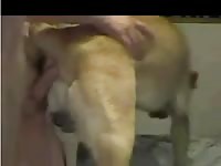 Male Dog And Man Gaybeast.Com - Beastiality XXX Porn Video