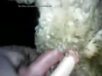 Male Fucks Sheep Gay Beast Com - Beastiality Sex Video