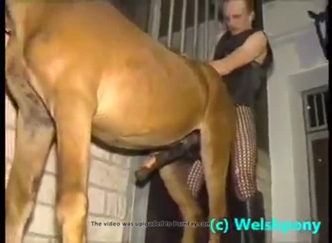 Man gets fucked by horse at the farm outside - Zoo Porn Horse Sex, Zoophilia