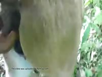 Man And Brazilian Mare Gay Beast Com - Animal Sex Tube