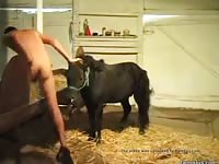 Man And Horse 4 Gaybeast.Com - Animal Porn Tube