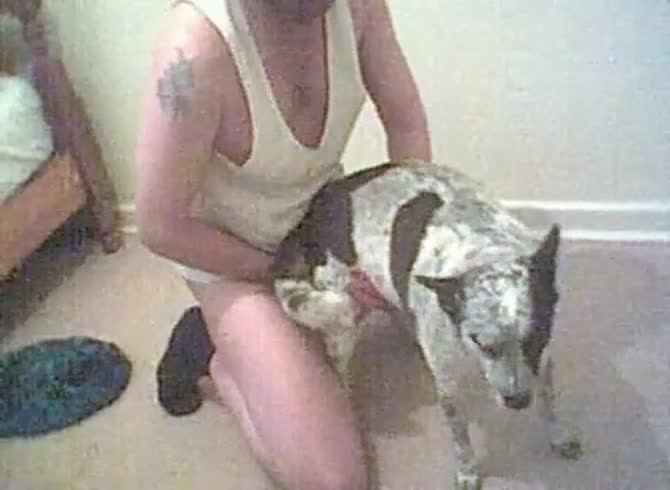 Dog And Girls Blue Film Download - Man And Little Female Dog Gaybeast Rip - Beastiality Sex Video - Katitube  Kinky Sex