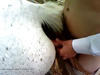 Man And Mare 17 Gaybeast Rip - Animal Sex Video