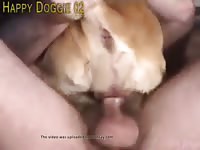 Man Dog 6 Gaybeast.Com - Beastiality Sex Porn Movie