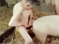 Man Fingers Licks And Fucks Pig Gay Beast Com - Beastiality Porn Movie