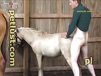 Man Fucking Two Horses - Zoo Porn Horse at Katitube